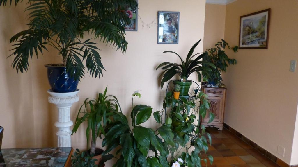 Chambres d'Hôtes La Plantade La Barthe-de-Neste Extérieur photo